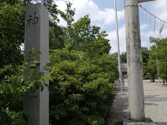 f:id:watto:20210805135309j:plain