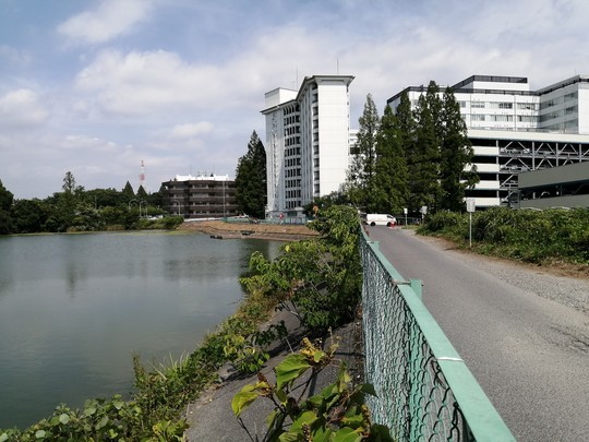 f:id:watto:20210805141326j:plain