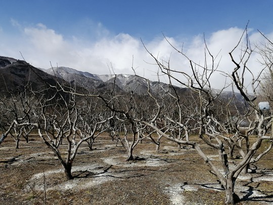 f:id:watto:20220224104610j:plain