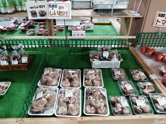 f:id:watto:20220224110804j:plain