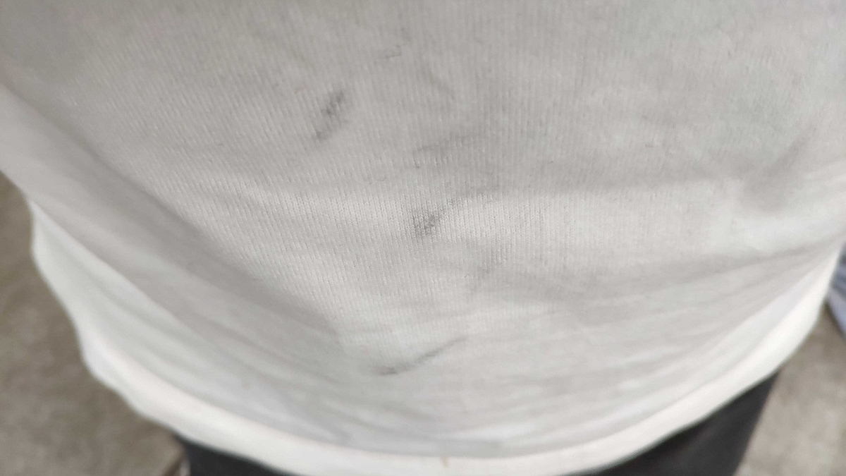 f:id:watzsons:20210328205556j:plain