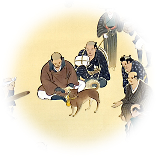 金刀比羅宮の御朱印（香川県） 〜犬の伊勢参り！ 金比羅さんにもワンコが？！ 御朱印迷宮