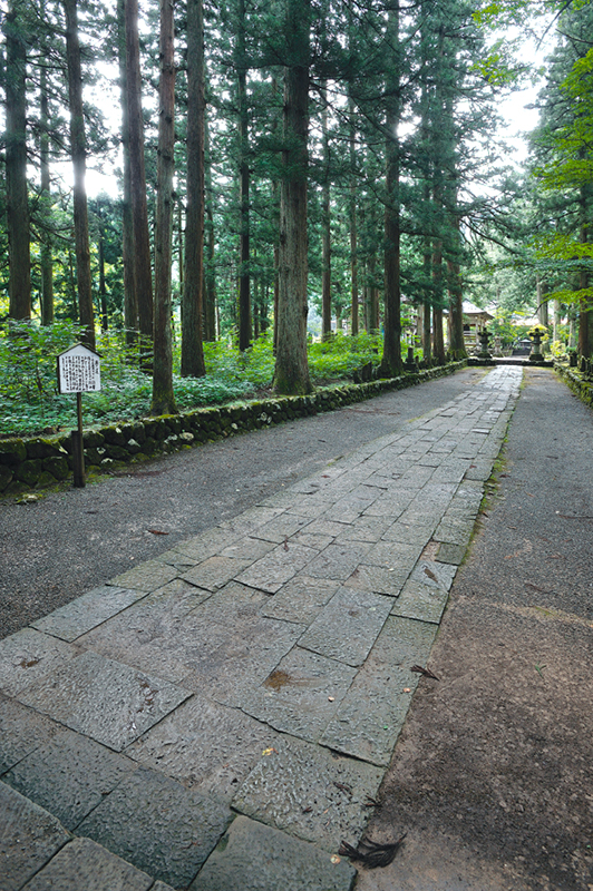 f:id:wave0131:20180131125356j:plain