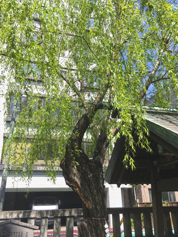 f:id:wave0131:20180419182027j:plain