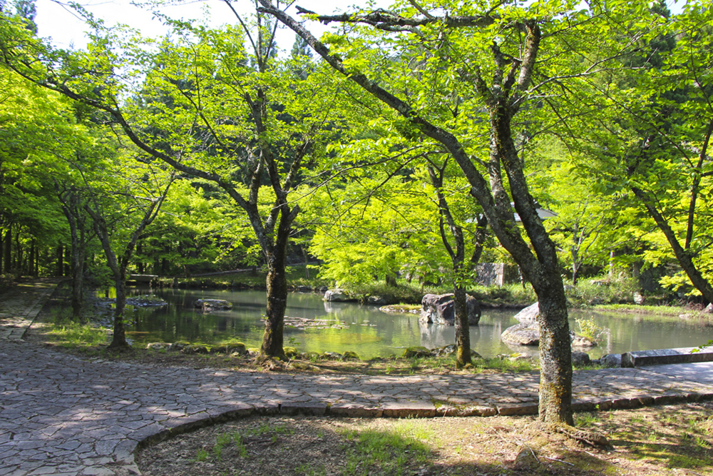 f:id:wave0131:20180514164301j:plain