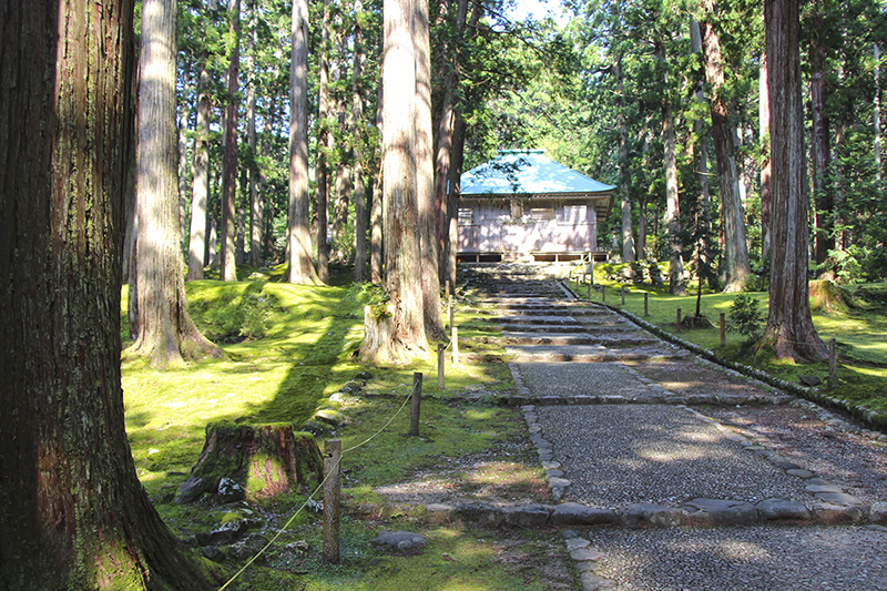 f:id:wave0131:20180516152700j:plain f:id:wave0131:20180516152700j:plain