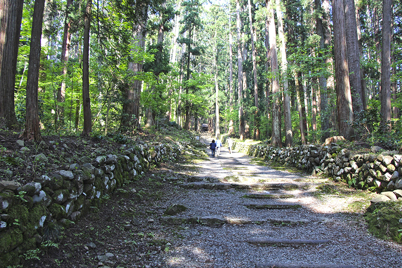 f:id:wave0131:20180516152705j:plain f:id:wave0131:20180516152705j:plain