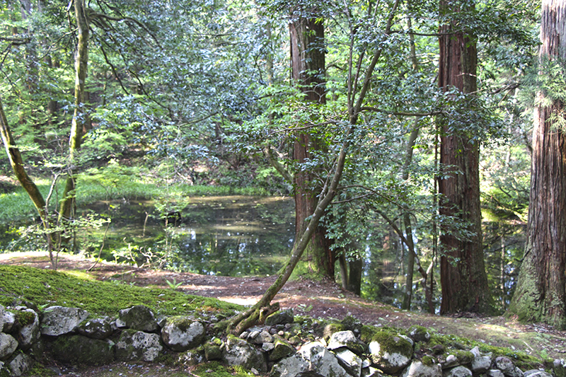 f:id:wave0131:20180516152711j:plain f:id:wave0131:20180516152711j:plain