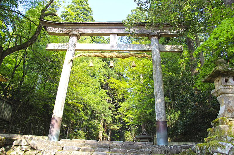 f:id:wave0131:20180516152713j:plain