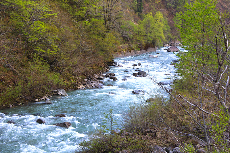 f:id:wave0131:20180516152714j:plain f:id:wave0131:20180516152714j:plain