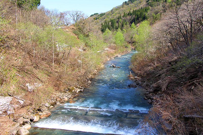 f:id:wave0131:20180516152718j:plain f:id:wave0131:20180516152718j:plain