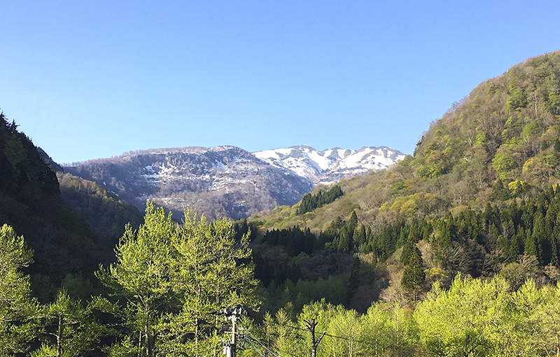 f:id:wave0131:20180516152721j:plain f:id:wave0131:20180516152721j:plain