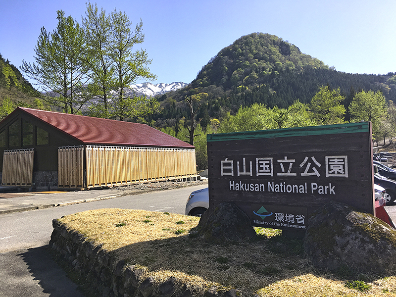 f:id:wave0131:20180516152725j:plain f:id:wave0131:20180516152725j:plain