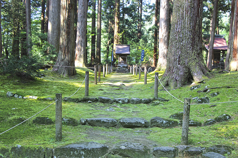 f:id:wave0131:20180516160303j:plain f:id:wave0131:20180516160303j:plain