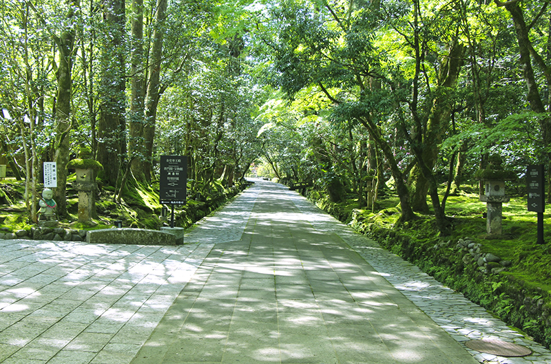 f:id:wave0131:20180522130235j:plain