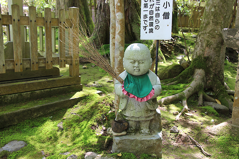 f:id:wave0131:20180522130236j:plain