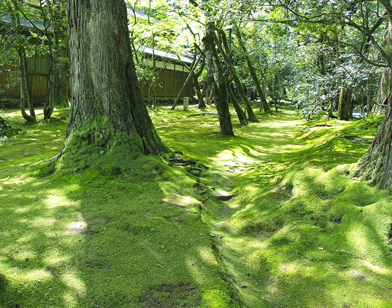 f:id:wave0131:20180522130238j:plain