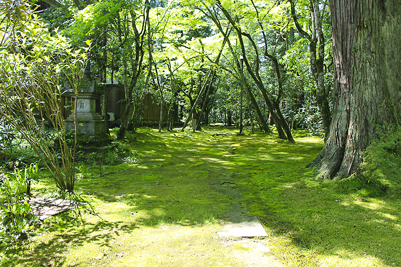 f:id:wave0131:20180522130239j:plain