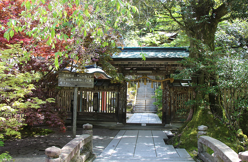 f:id:wave0131:20180522130241j:plain