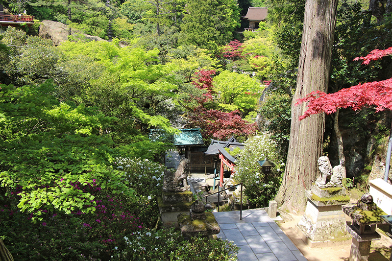 f:id:wave0131:20180522130243j:plain