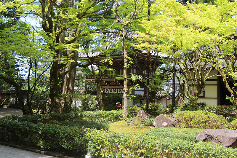 f:id:wave0131:20180522130250j:plain