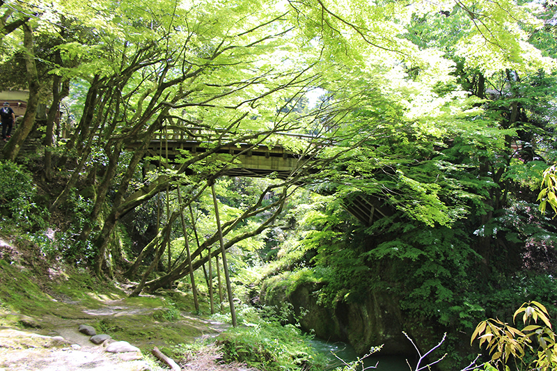 f:id:wave0131:20180522130252j:plain