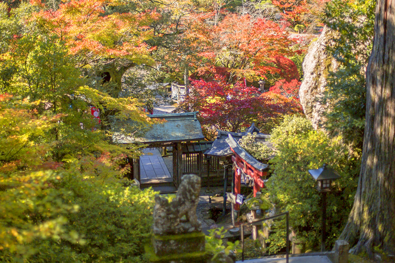 f:id:wave0131:20180522141117j:plain