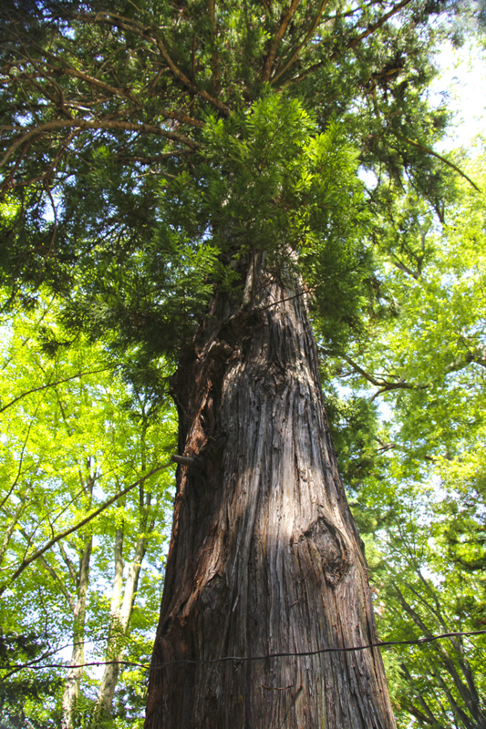 f:id:wave0131:20180823195229j:plain