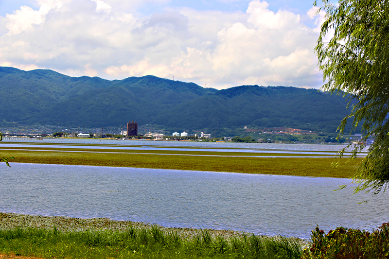 f:id:wave0131:20180824213702j:plain