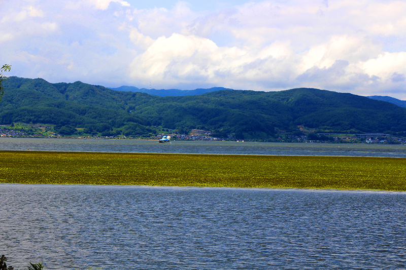 f:id:wave0131:20180824213703j:plain