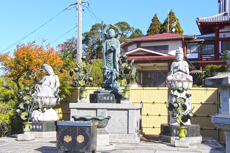 f:id:wave0131:20181127202820j:plain