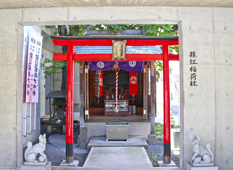 f:id:wave0131:20190621171743j:plain f:id:wave0131:20190621171743j:plain