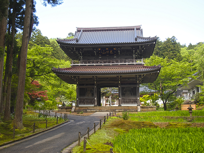 越後 林泉寺の御朱印 新潟 上越市 越後の龍 上杉謙信 ここ春日山城の麓に育ち そして眠る 御朱印迷宮