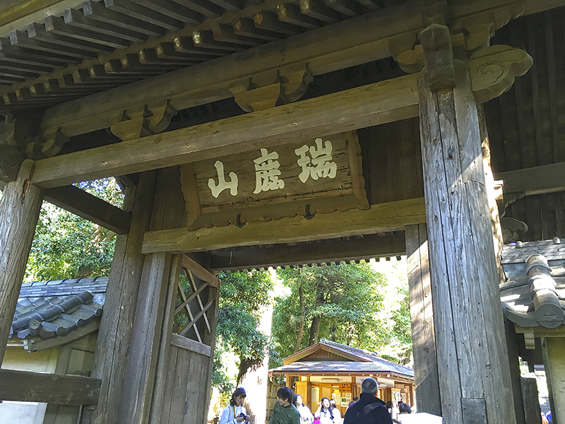 f:id:wave0131:20191107194703j:plain