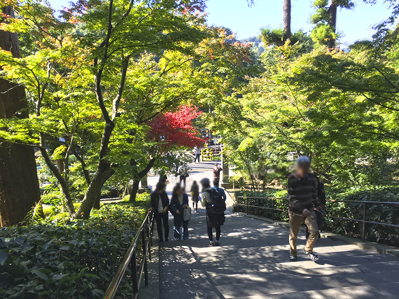 f:id:wave0131:20191107194708j:plain