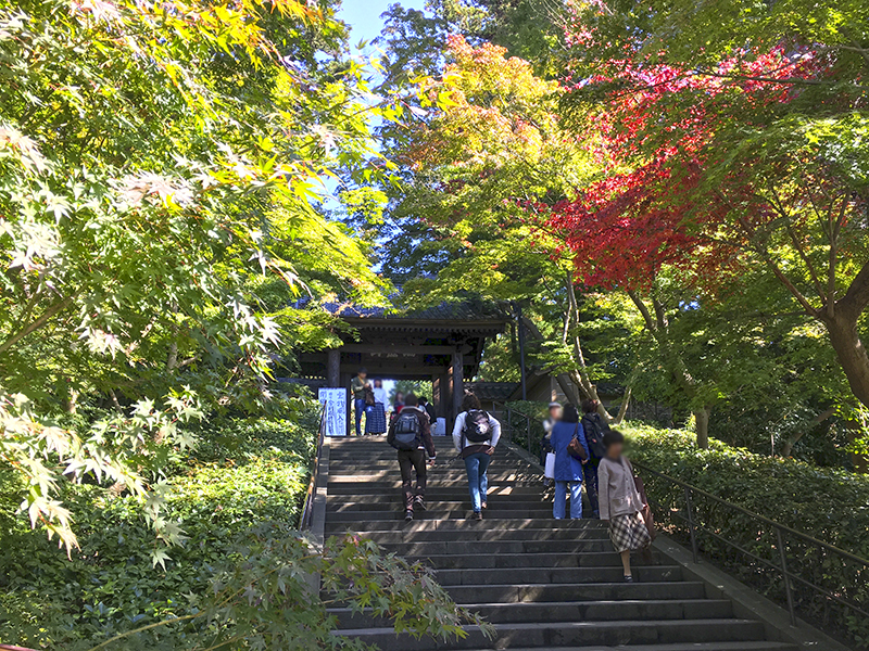 f:id:wave0131:20191107194712j:plain