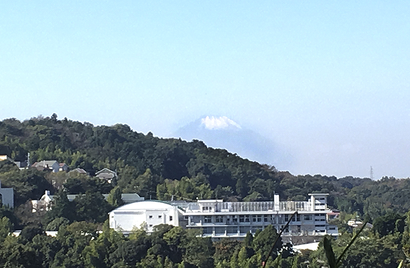 f:id:wave0131:20191107194725j:plain