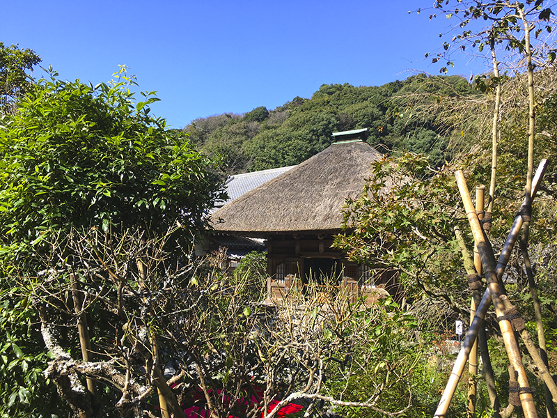 f:id:wave0131:20191107194755j:plain