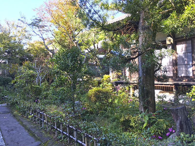 f:id:wave0131:20191107194808j:plain