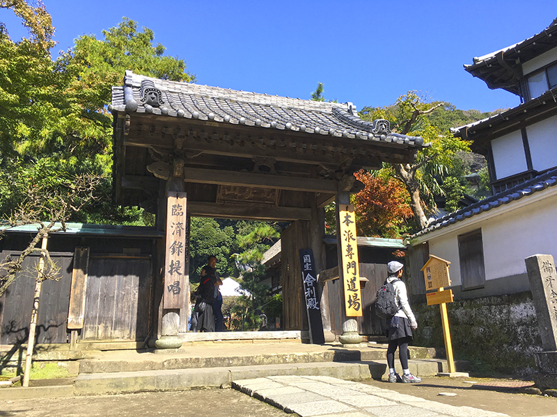 f:id:wave0131:20191107194832j:plain