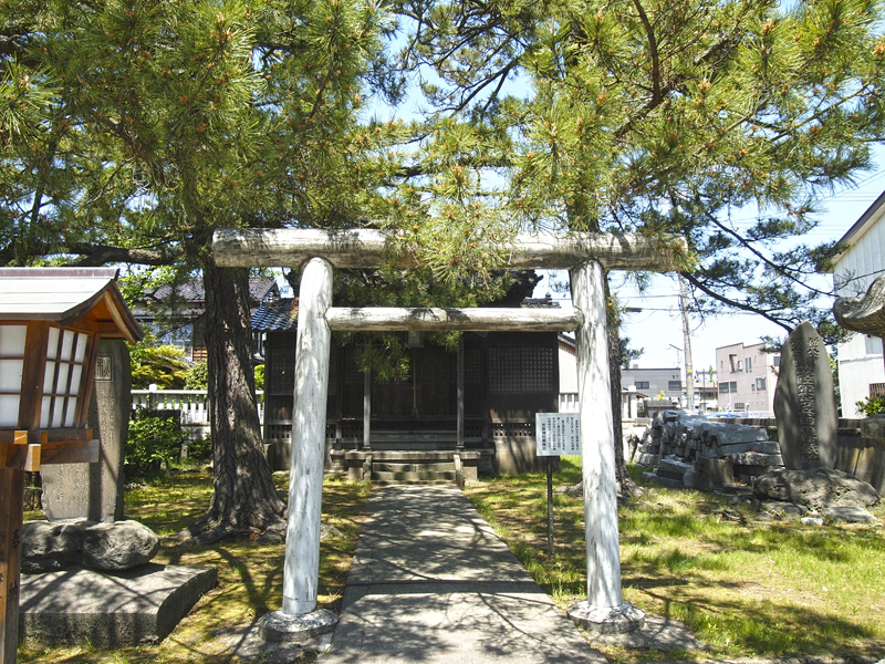 f:id:wave0131:20200213190631j:plain f:id:wave0131:20200213190631j:plain