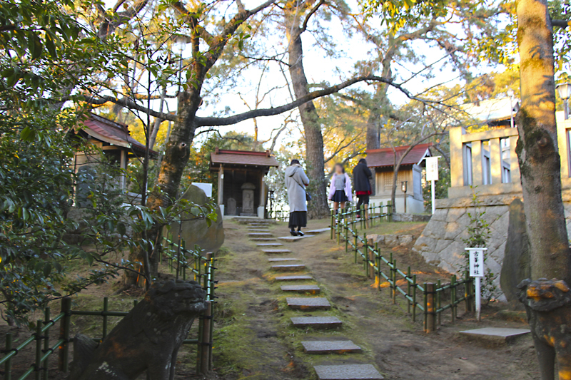 f:id:wave0131:20200214194337j:plain f:id:wave0131:20200214194337j:plain