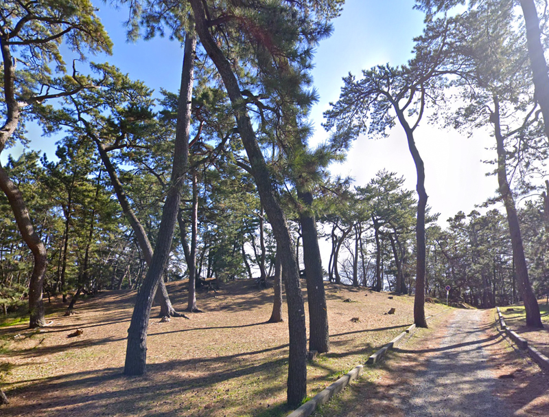 f:id:wave0131:20200217161914j:plain f:id:wave0131:20200217161914j:plain