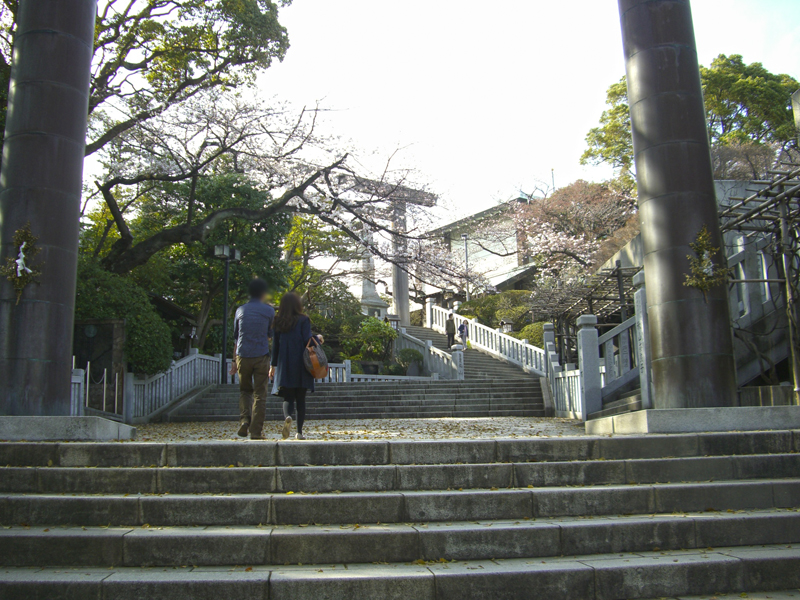 f:id:wave0131:20200221161327j:plain