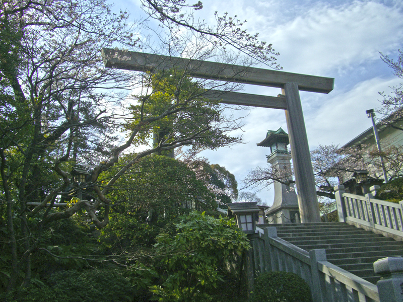 f:id:wave0131:20200221161331j:plain