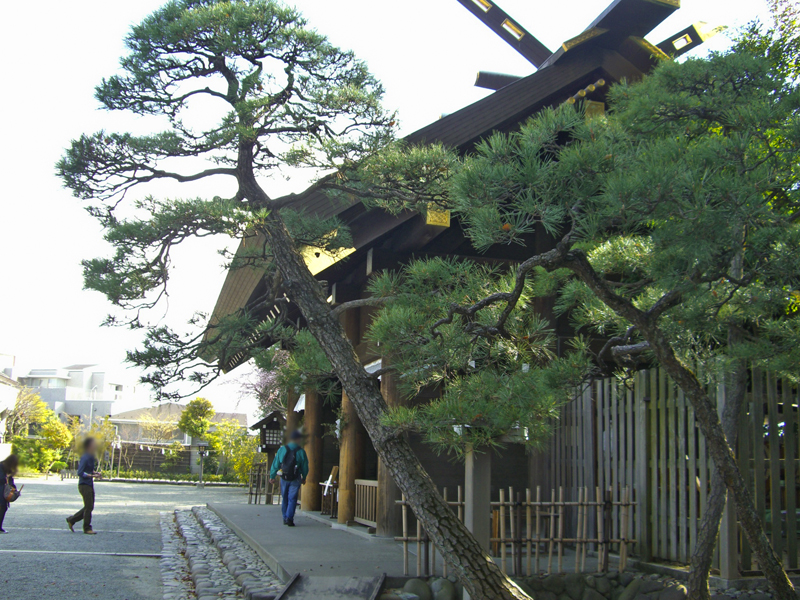 f:id:wave0131:20200221161335j:plain