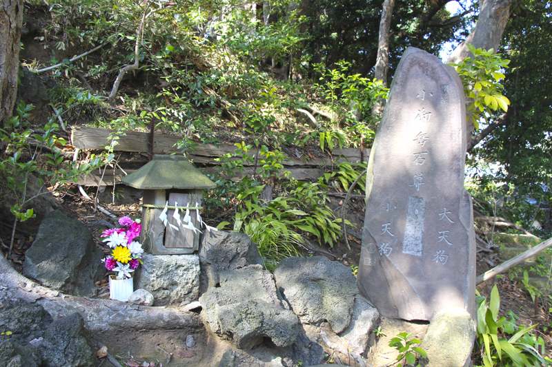 f:id:wave0131:20200225174929j:plain