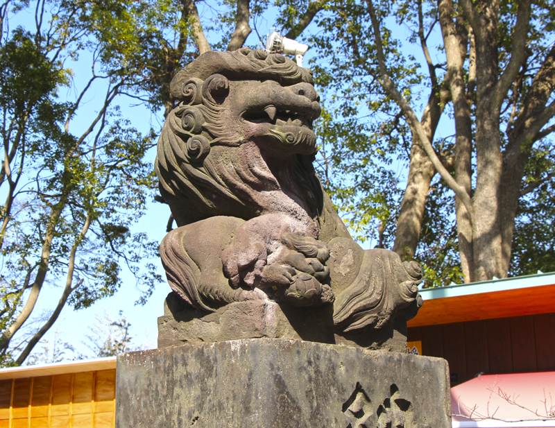 f:id:wave0131:20200225175031j:plain