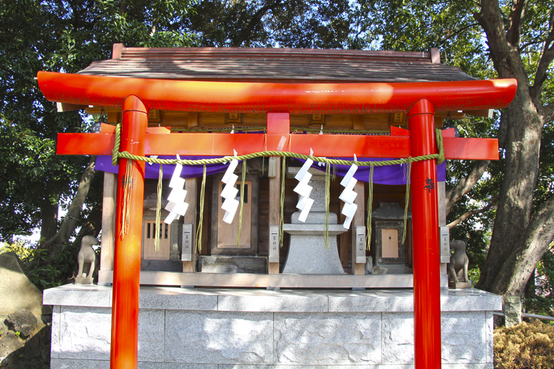 f:id:wave0131:20200225175054j:plain