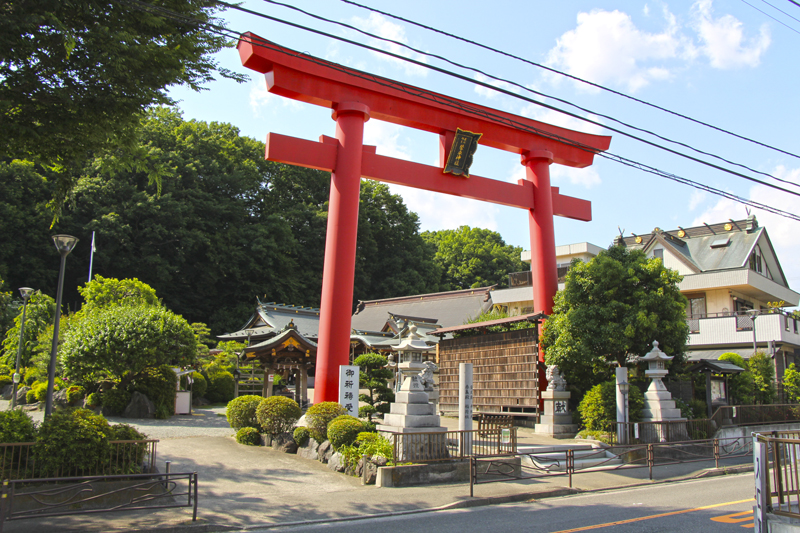 琴平神社の御朱印 神奈川 川崎市 鬱蒼とした森で孤独な狐が待つ異空間 御朱印迷宮 Goshuin Labyrinth